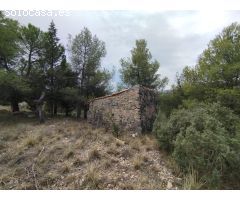 Finca rústica con posibilidad de construcción de vivienda