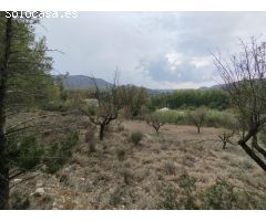Finca rústica con posibilidad de construcción de vivienda