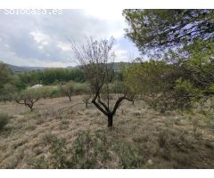 Finca rústica con posibilidad de construcción de vivienda
