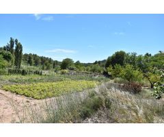 Huerto con agua de acequia