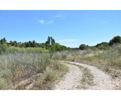 Huerto con agua de acequia