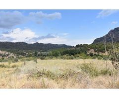 Finca con masía camino a Las Pesqueras