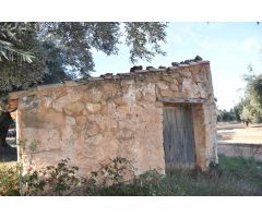 Finca rústica con maset a rehabilitar y olivos