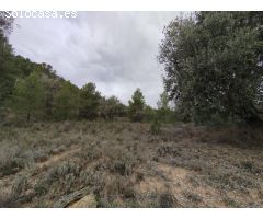 Finca rústica con olivos