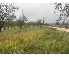 Finca rústica en La Fresneda