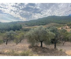Finca en Horta de Sant Joan