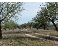 Finca rústica en Bot