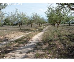 Finca rústica en Bot