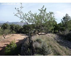 Finca rústica en Bot