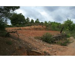 Finca rústica en Bot