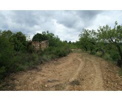 Finca rústica en Bot
