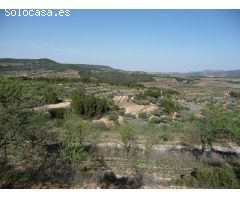 Finca rústica en Bot