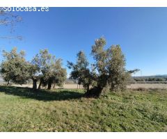 Finca rústica en La Fresneda
