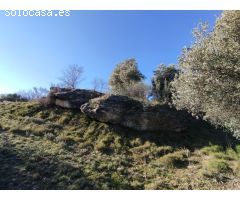 Finca rústica en La Fresneda