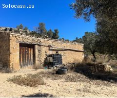 Finca rústica con pequeño maset