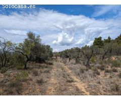 Finca rustica en Venta en Valderrobres, Teruel