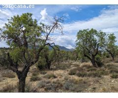 Finca rustica en Venta en Valderrobres, Teruel
