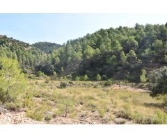 Finca rústica con masía en Peñarroya de Tastavins