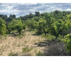 Finca rústica en La Fresneda