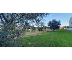 Venta de piso en Avenida Descarte. Jerez