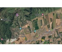 PARCELA RÚSTICA EN CIGARRA ALTA