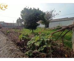 MONTE. Vivienda y negocios en finca urbana junto a la Casona del Judío