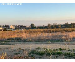 Parcela en Burguillos