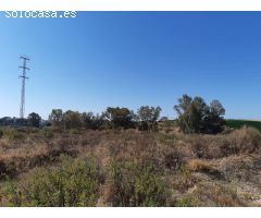 Terreno urbanizable en Venta en Burguillos de Sevilla, Sevilla