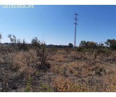 Terreno urbanizable en Venta en Burguillos de Sevilla, Sevilla