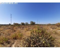 Terreno urbanizable en Venta en Burguillos de Sevilla, Sevilla