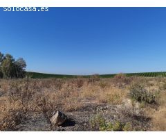 Terreno urbanizable en Venta en Burguillos de Sevilla, Sevilla