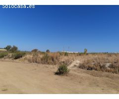 Terreno urbanizable en Venta en Burguillos de Sevilla, Sevilla