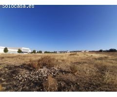 Terreno urbanizable en Venta en Burguillos de Sevilla, Sevilla
