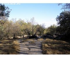 FINCA RÚSTICA EN CASTILBLANCO DE LOS ARROYOS