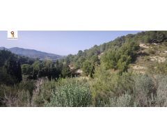 PARCELA DE 14.000 M2 APROX. EN PARTIDA LLENES (BENISSA)