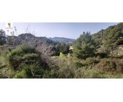 PARCELA DE 14.000 M2 APROX. EN PARTIDA LLENES (BENISSA)