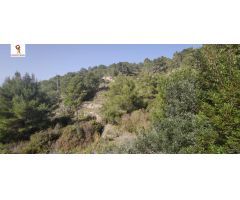PARCELA DE 14.000 M2 APROX. EN PARTIDA LLENES (BENISSA)