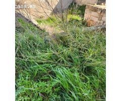 Solar en Venta en Santa Margalida, Islas Baleares