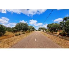 Terreno de 5000 m2 en urbanización Tres Arroyos, Badajoz