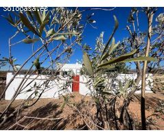 CASETA RÚSTICA CON PARCELA EN VILLAR DEL ARZOBISPO