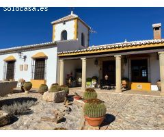 FINCA DE CAMPO CON GRAN TERRENO Y OLIVOS EN ALAMEDA