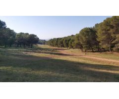 Venta de parcela rustica en Humilladero