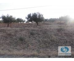 Finca en Venta en Pizarra, Málaga