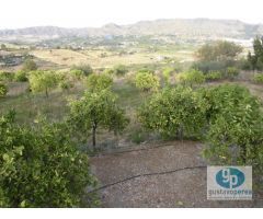 Finca en Venta en Pizarra, Málaga