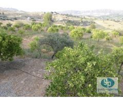 Finca en Venta en Pizarra, Málaga