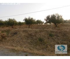 Finca en Venta en Pizarra, Málaga
