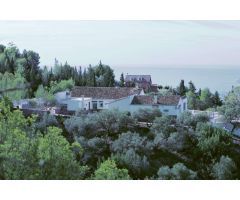 Preciosa finca en Los Montes de Málaga.