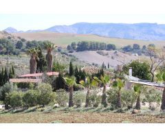 Encantadora Finca en Pizarra