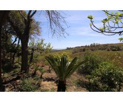 Encantadora Finca en Pizarra