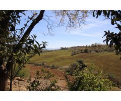 Encantadora Finca en Pizarra